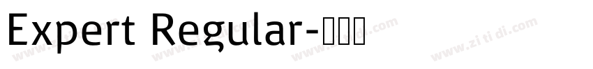 Expert Regular字体转换 Expert Regular字体转换